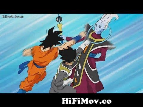 Goku y Vegeta vs Wiss l Dragon Ball Super Latino HD from whispor Watch  Video 