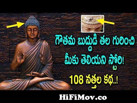 108 dried snails on Gautama Buddha's Head | The Story of Siddhartha Gautama  Buddha | Telugu News from sindu bhad hathani sahacharulu telugu cartoon  movies Watch Video 