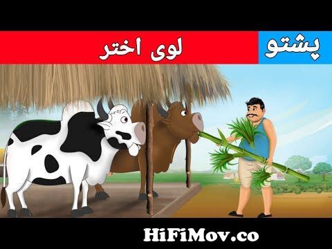 Pashto Cartoon | لوی اختر | Pashto Moral Stories | Fairy Tales from پشتو  کاٹون Watch Video 