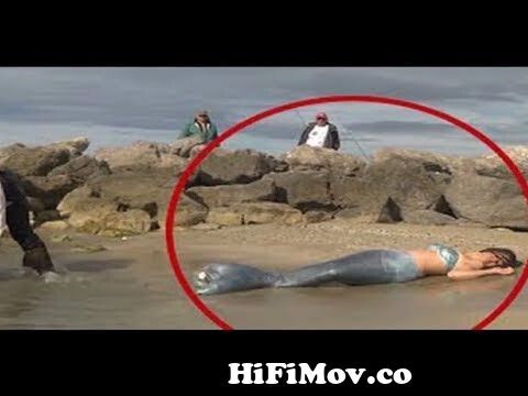 real mermaid found real mermaids real Human fish real jal pari real jol  pori in Bengali from জল পরী Watch Video 