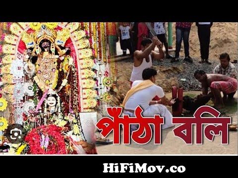 monosha puja patha boli joy ma monosha from pata boli hindu Watch Video -  