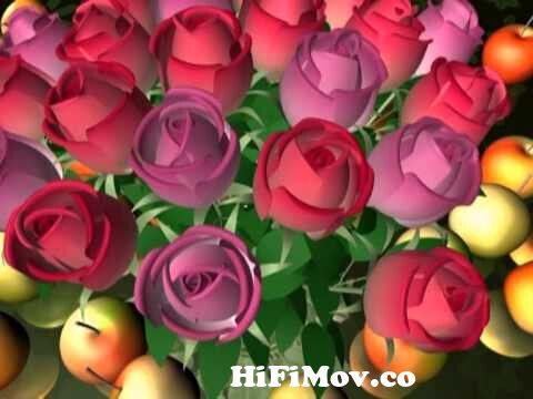 fruit flower Beautiful Roses Motion graphics animation Free Download HD  from beautiful roses hd animated Watch Video 