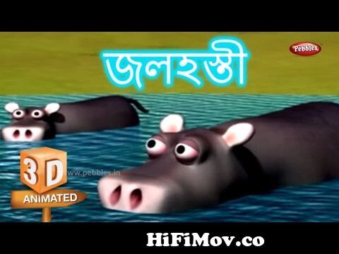 Hippopotamus Animal Rhyme in Bengali | বাংলা গান | Bengali Rhymes For Kids  | 3D Animal Songs from jolhosti Watch Video 