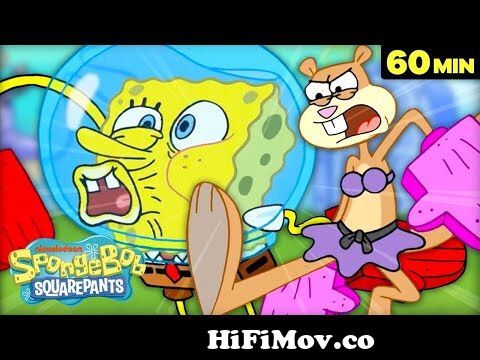 Best SpongeBob Fights and Battles! 💥🥊 | 60 Minute Compilation | SpongeBob  from spongebob ugh watch cartoon online io Watch Video 