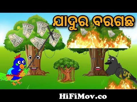 Jadura Baragacha Tuni Chidiya Bird Story Odia gapa fairytale in odia cartoon  moral story from jadura Watch Video 