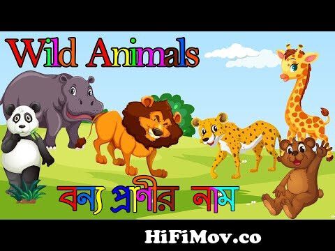 Animals Name|বন্য পশুর নাম|Learn Wild Animals Name & Sound For Kids|Animals  name in English & bangla from পশুর Watch Video 