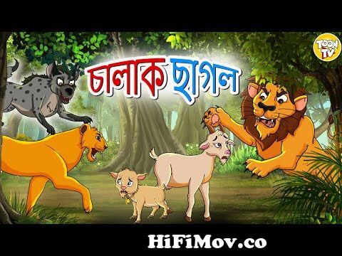 চালাক ছাগল। Chalak Bakari l Rupkothar Golpo | Bangla Cartoon | Bengali  Fairy Tales l Toonkids Bangla from ছাগলের কাটুন Watch Video 