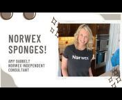 Amy Dabbelt Norwex Independent Consultant