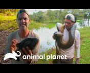 Animal Planet Latinoamérica