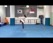 ACME Sabertooth Taekwondo