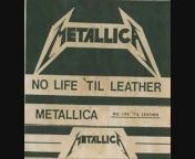 MetallicaCollection