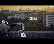 Wu Mountain Tea