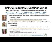 RNA Collaborative Seminar Series