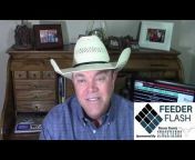 Feeder Flash - Cattle Market Summary