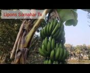 Lipon&#39;s Somahar TV
