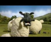 Shaun sheep TV