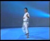 Dojo X Karate