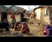 India Village Life