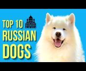 Dog Breeds FAQ Channel