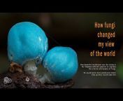 Planet Fungi