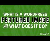 WinningWP - Winning WordPress