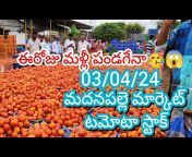 madanapalle tomato prices