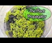 The Plant Propagator