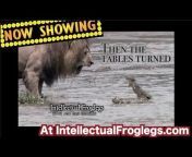 Intellectual Froglegs