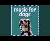 RelaxMyDog, Dog Music Dreams u0026 Relax My Puppy - Topic