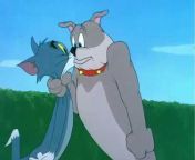 Tom u0026 Jerry episodes