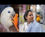 Parrot Dipankar Vlogs