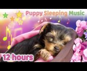 Puppy Sleeping Music