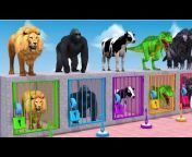 Cartoon Animals Video