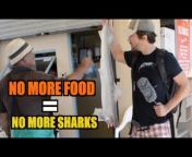 White Shark Video
