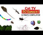 Best Cat Games u0026 Videos