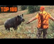 Top Wild Boar Hunts