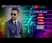 TV CENUB 065