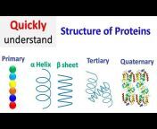 Quick Biochemistry Basics