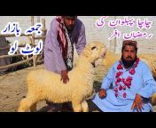 Malik Imran Goat Farm