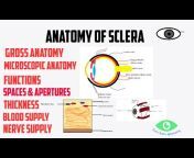Let&#39;s learn optometry