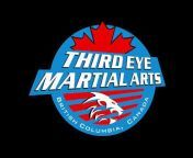 Third Eye Martial Arts
