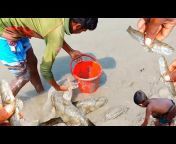 Bhola Fishing Bangla