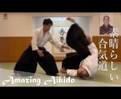 Mihaly Dobroka - My Aikido Life