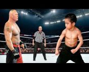 Brock Lesnar Fights