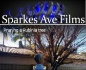 Sparkes Avenue Films