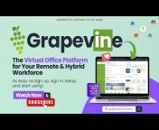 Grapevine Software: Redefining the Rules of Work