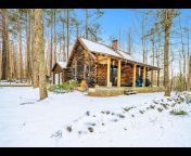 Cabin Real Estate Listings