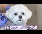 Dog Grooming by Diana Paiva