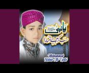 Muhammad Farhan Ali Qadri - Topic