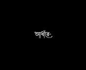 Bengali Lyrics Status 11